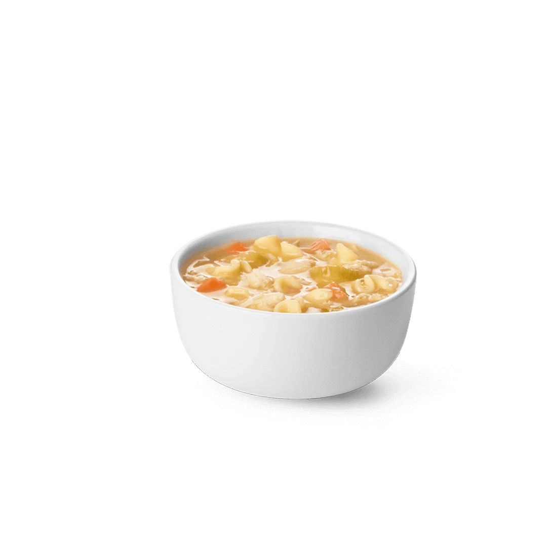 Healthy Noodle Soup